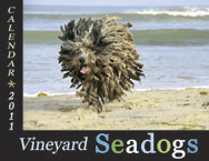 2011 Calendar