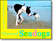 Vineyard Sea Dogs 2010